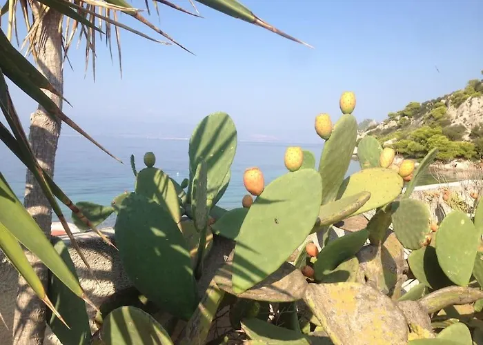 度假居 House By The Sea At Skaloma, Loutraki 沃里亚戈米尼湖